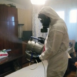Дезинфекция от клопов в Окуловке