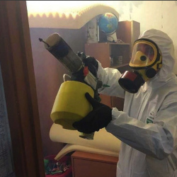 Уничтожение клопов в квартире. Окуловка